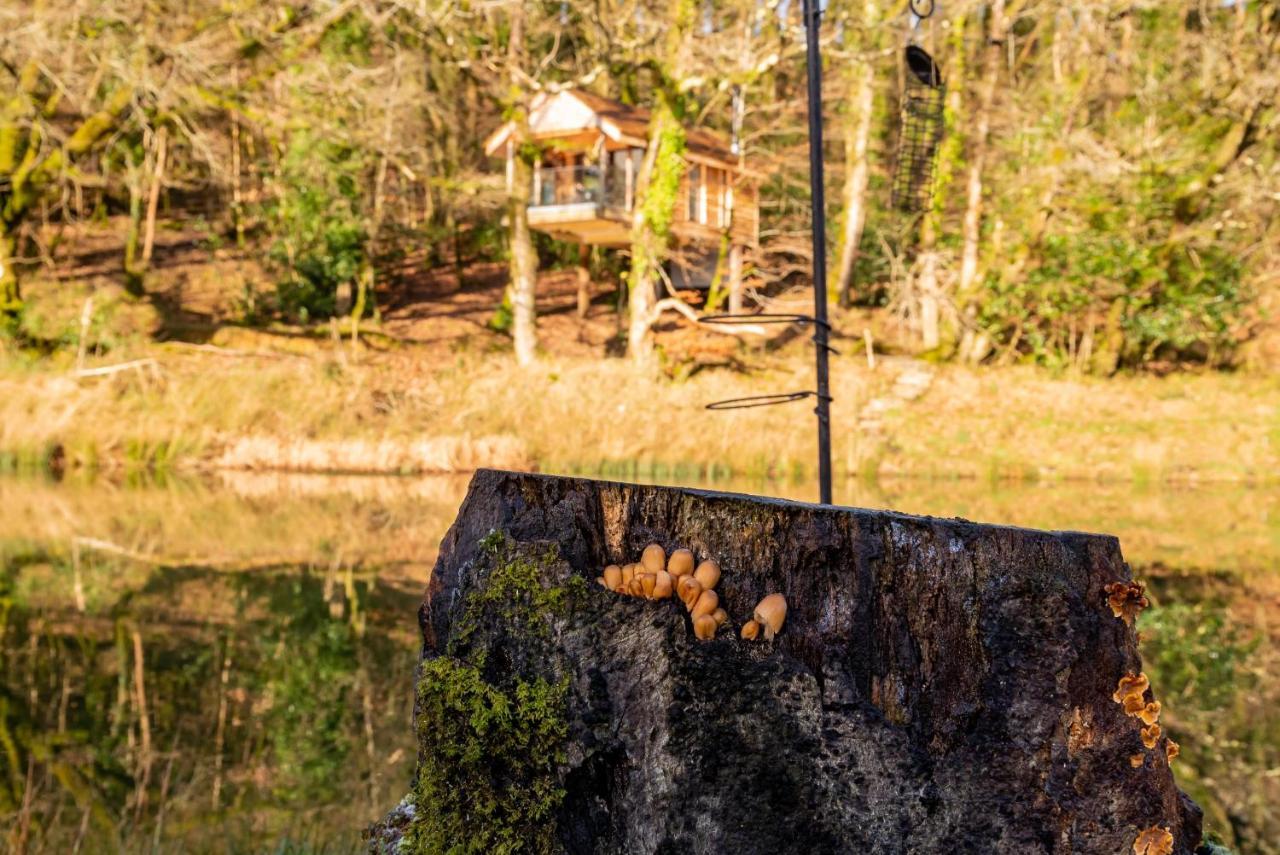 Finest Retreats - The Tree House - Eco-Friendly, Back To Nature Experience Germansweek Bagian luar foto