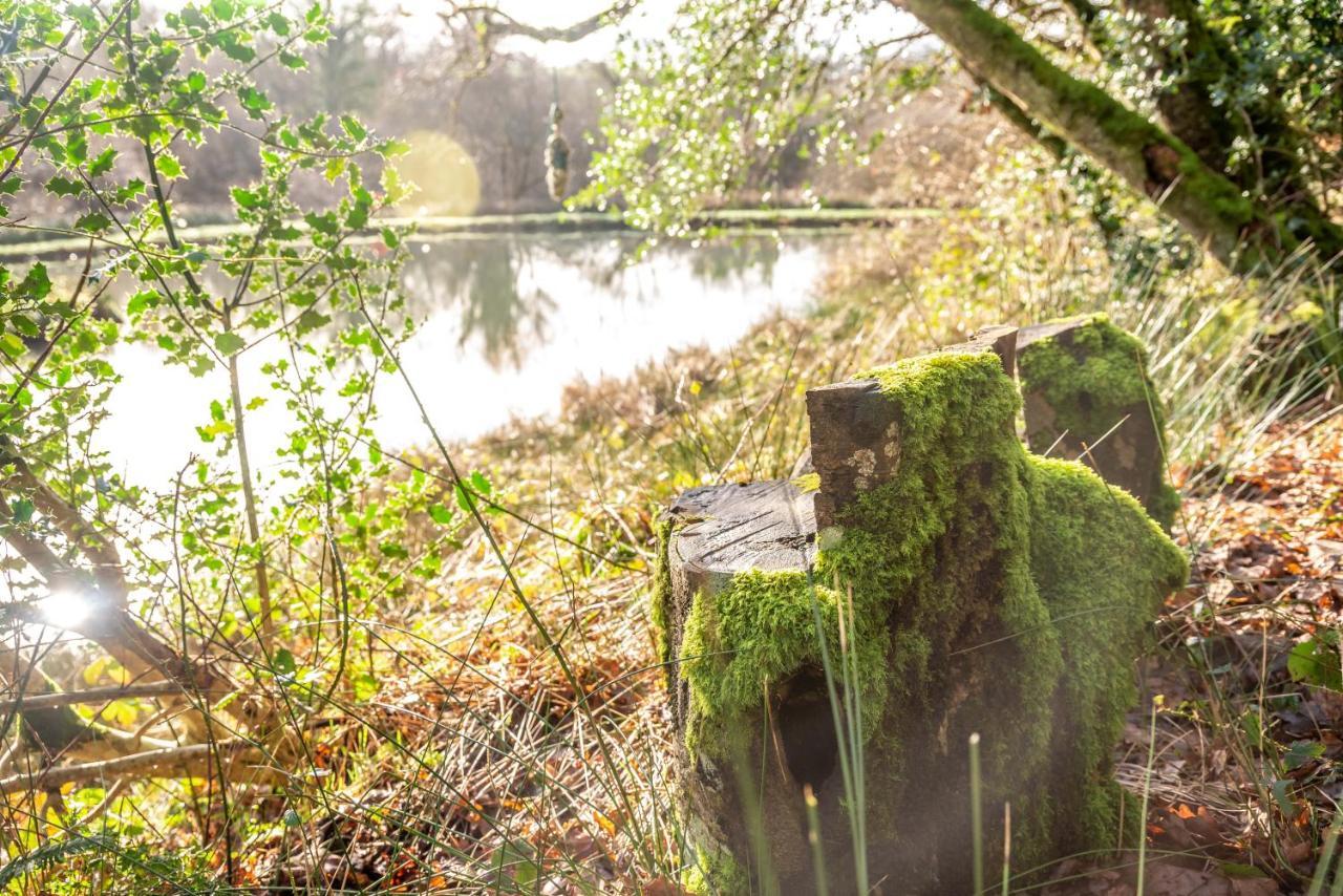 Finest Retreats - The Tree House - Eco-Friendly, Back To Nature Experience Germansweek Bagian luar foto