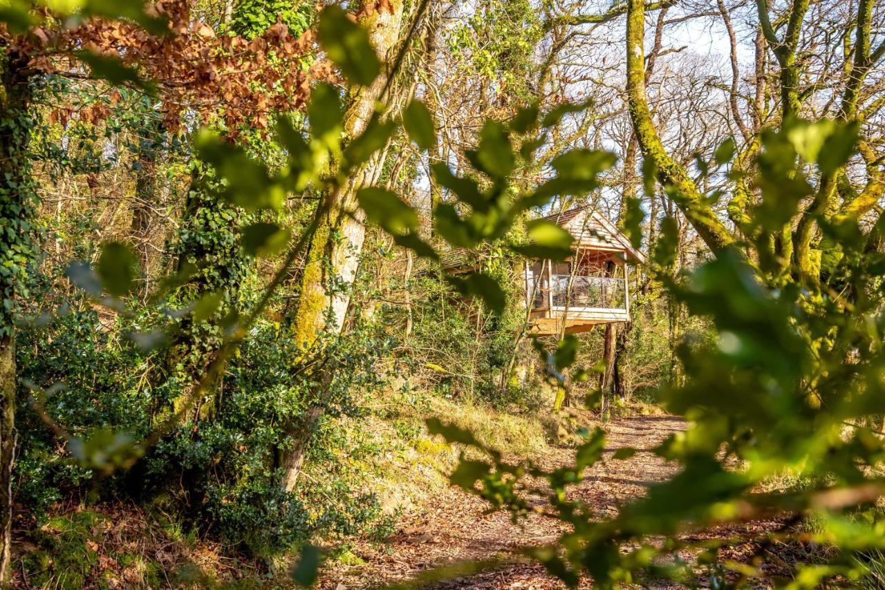 Finest Retreats - The Tree House - Eco-Friendly, Back To Nature Experience Germansweek Bagian luar foto